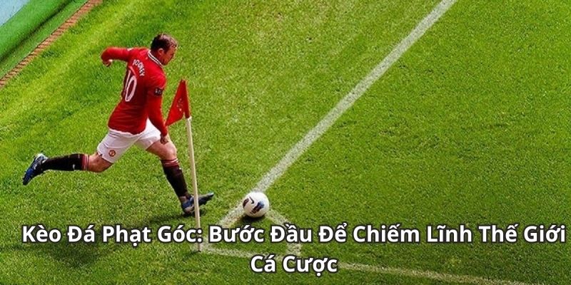 Soi Kèo Phạt Góc Là Gì? Cách Soi Và Dự Đoán Chính Xác